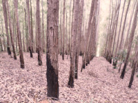 /album/galeria-de-fotos/foto-1-jpg/